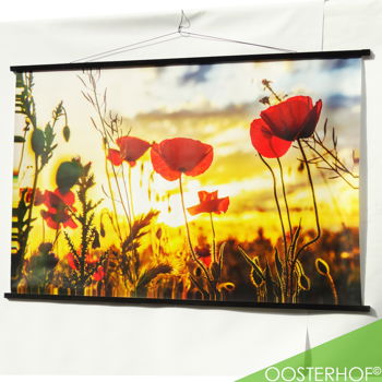 Veld met Klaprozen met ondergaande Zon | Canvas 144,5 x 94 #2 - 1