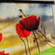 Veld met Klaprozen met ondergaande Zon | Canvas 144,5 x 94 #2 - 4 - Thumbnail