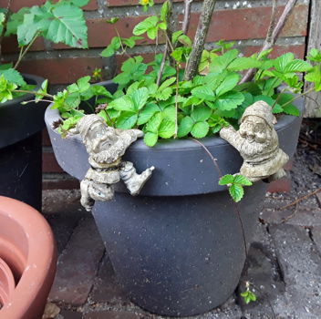 Kleine kabouters voor aan de bloempot en dergelijke - 0