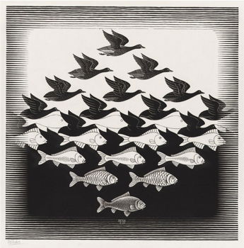 DE WERELDEN VAN ESCHER - 1