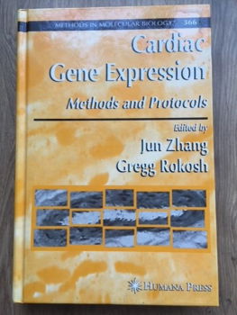 Cardiac Gene Expression - Jun Zhang, Gregg Rokosh - 0