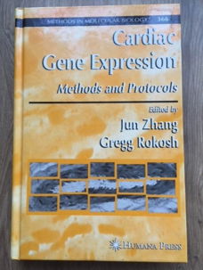 Cardiac Gene Expression - Jun Zhang, Gregg Rokosh