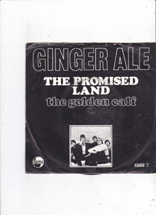 Single Ginger Ale - The promised land