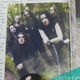 Aardschok 10 2004 | Cradle of Filth | Autumn | Green Day - 7 - Thumbnail