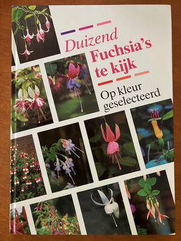 Duizend fuschia's te kijk - Miep Nijhuis - 0