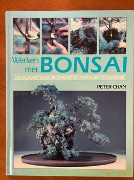 Werken met bonsai - Peter Chan - 0