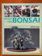 Werken met bonsai - Peter Chan - 0 - Thumbnail