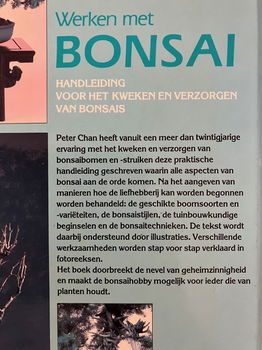 Werken met bonsai - Peter Chan - 1