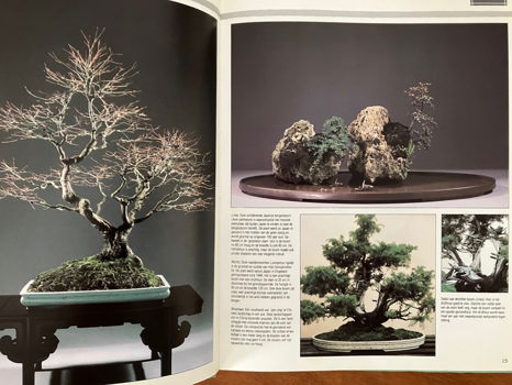 Werken met bonsai - Peter Chan - 4