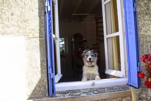 Landhuisje Chez l'arbre Auvergne - 4