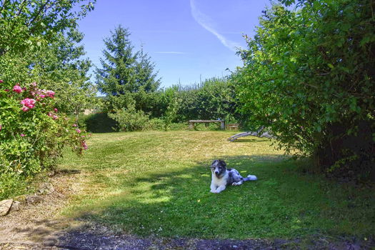 Landhuisje Chez l'arbre Auvergne - 5