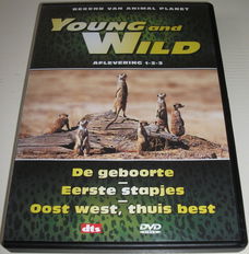 Dvd *** YOUNG AND WILD *** Deel 1