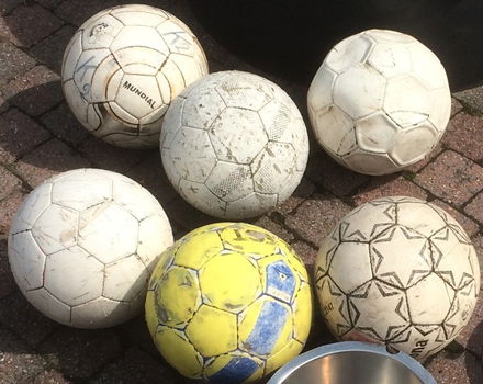 Honden speeltjes, ballen en aanleren zoek spelletjes - 7