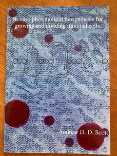 In vitro phospholipid biosynthesis for growing and dividing