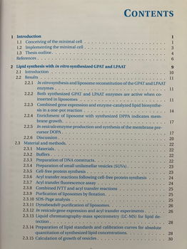 In vitro phospholipid biosynthesis for growing and dividing - 2