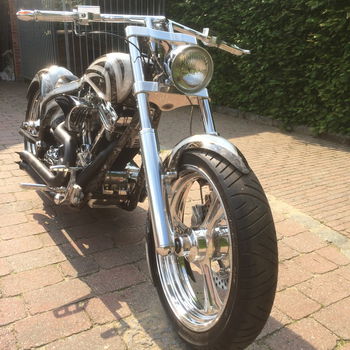 Cobra H-D echt een eigenbouw, (geen verbouwing) - 1