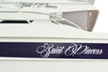 HOBBY ENGINE PREMIUM LABEL 2.4G RC speedboot SAINT PRINCESS BOAT RTR - 5 - Thumbnail