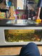 Aquarium salontafel - 2 - Thumbnail