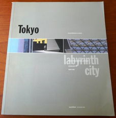 Tokyo: labyrinth city - Noriyuki Tajinma, Catharine Powell (architectuur)