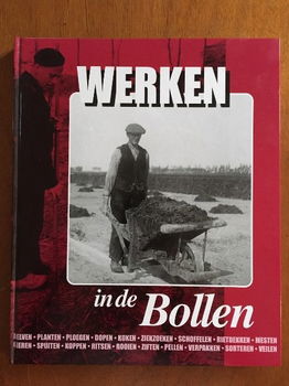 Werken in de bollen - Herman van Amsterdam - 0