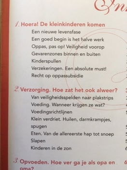 Hoera! De kleinkinderen komen (ook!) - Yvette Kuiper - 2