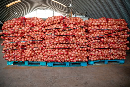 Tomaat, Ui, Aardappelen, fruit leverancier in bulk - 0