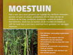 Tuinspecialist: Moestuin - A. & G. Bridgewater - 1 - Thumbnail