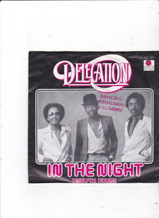 Single Delegation - In the night