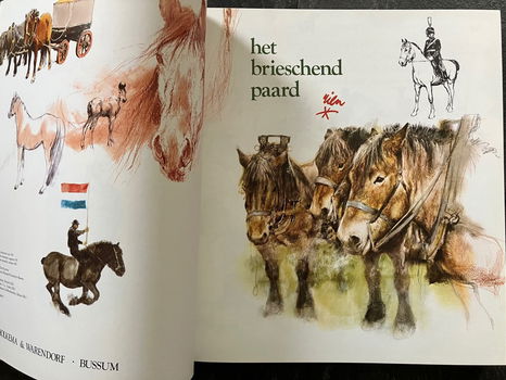 Het brieschend paard - Rien Poortvliet - 1