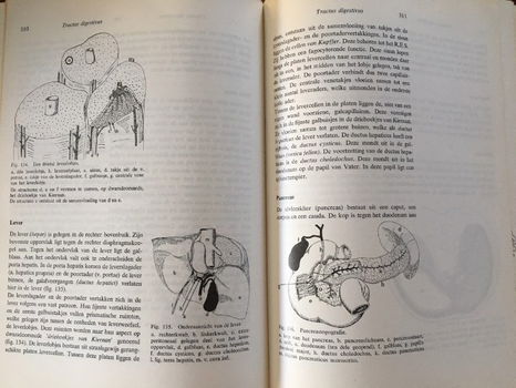 Compendium Anatomie - Dekker, Jansen - 6