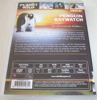 Dvd *** PENGUIN BAYWATCH *** Deel 6 Planet Wild - 1