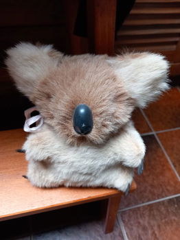 koala beertje uit Australie - grijs - 13cm. - bruin - 17 cm - 0