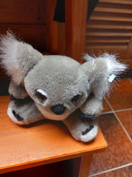 koala beertje uit Australie - grijs - 13cm. - bruin - 17 cm - 1