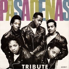 The Pasadenas – Tribute ( Vinyl/Single 7 Inch)