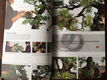 Bonsai Focus 148/125 - 6/2013 Nov/Dec - 5 - Thumbnail