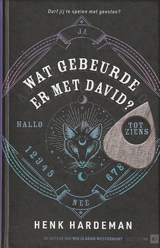 WAT GEBEURDE ER MET DAVID? - Henk Hardeman - 0