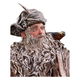 Weta The Lord of the Rings Statue Radagast - 2 - Thumbnail