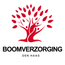 Boomverzorging Den Haag