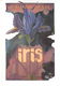 Hermann Hesse - Iris (Hardcover/Gebonden) Kinderjury - 0 - Thumbnail