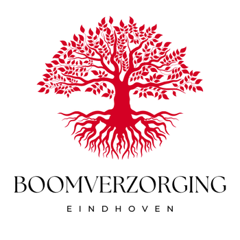 Boomverzorging Eindhoven - 0