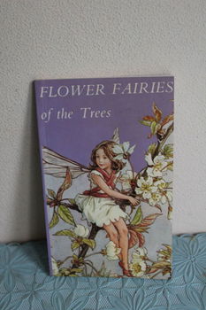 Flower Faires of the Trees - 0