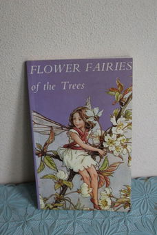 Flower Faires of the Trees