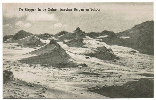 De Steppen in de Duinen tusschen Bergen en Schoorl - 0