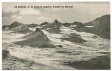 De Steppen in de Duinen tusschen Bergen en Schoorl