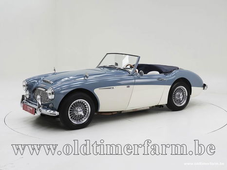 Austin Healey 100/6 BN4 '59 CH4084 - 0