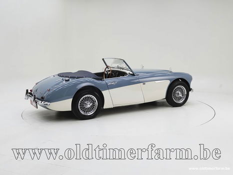 Austin Healey 100/6 BN4 '59 CH4084 - 1