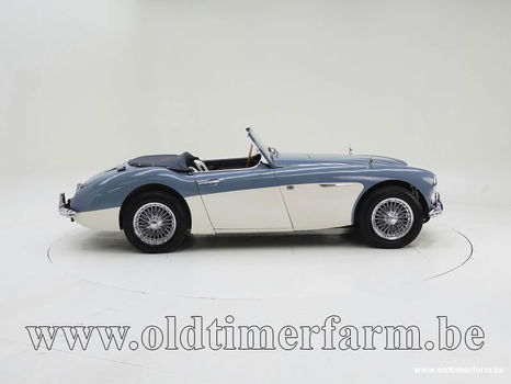 Austin Healey 100/6 BN4 '59 CH4084 - 2