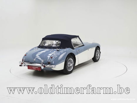 Austin Healey 100/6 BN4 '59 CH4084 - 7