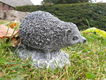 egel , tuinbeeld - 2 - Thumbnail