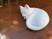 Lieve witte kleine kat ,poes - 0 - Thumbnail